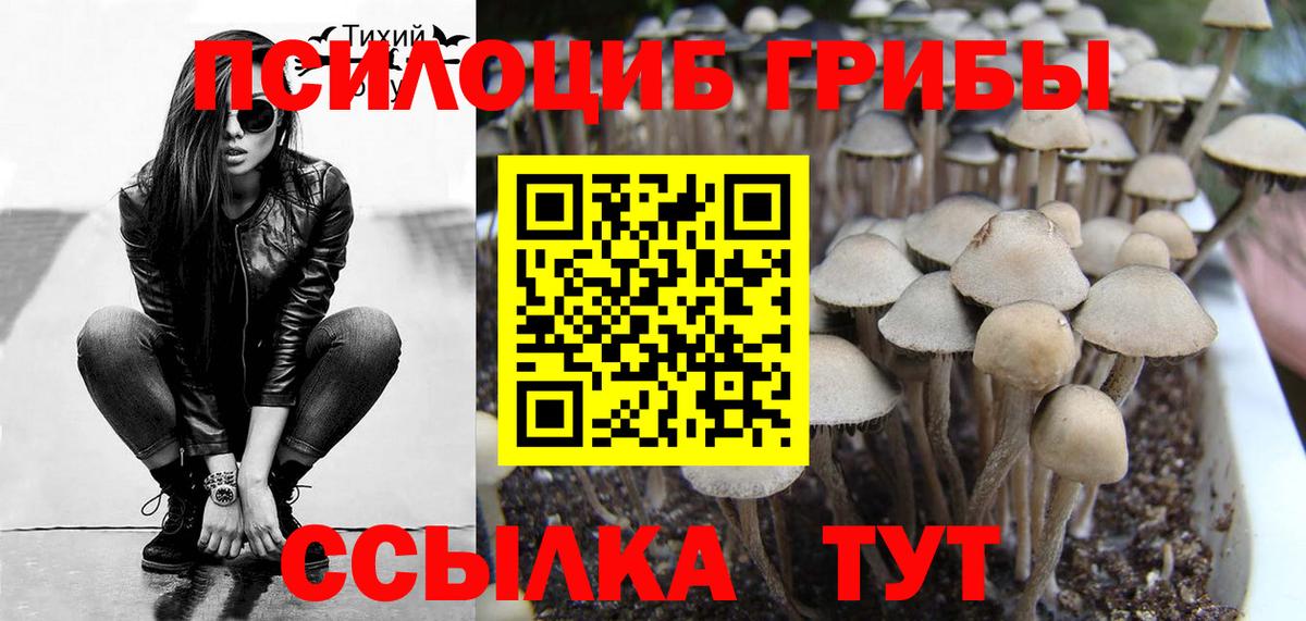 Галлюциногенные грибы Magic Shrooms  Псилоцибиновые грибы Psilocybe  Вход с VPN  Бирск 