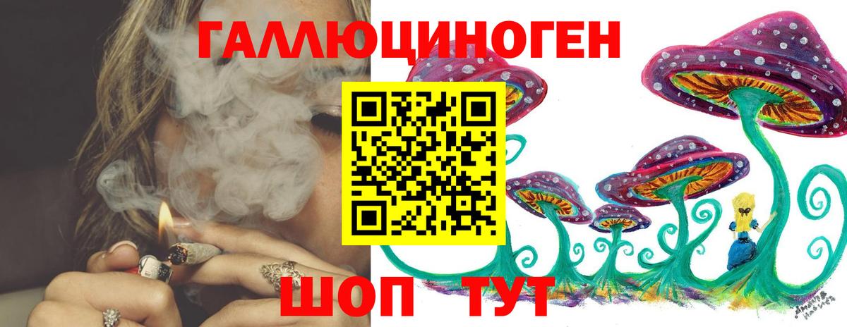 Галлюциногенные грибы Psilocybine cubensis Бирск
